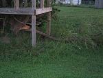 Click image for larger version

Name:	IMG_0755.JPG
Views:	282
Size:	955.9 KB
ID:	55944