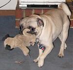 Click image for larger version

Name:	Norton and Nort Jr.jpg
Views:	188
Size:	36.3 KB
ID:	55946