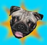 Click image for larger version

Name:	NortomTStarburst2.jpg
Views:	176
Size:	13.3 KB
ID:	57172