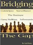 Click image for larger version

Name:	bridging_the_gap.jpg
Views:	297
Size:	26.9 KB
ID:	58121