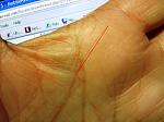 Click image for larger version

Name:	mypalm1.JPG
Views:	166
Size:	308.3 KB
ID:	61249