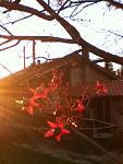 Click image for larger version

Name:	IMG_0252.jpg
Views:	250
Size:	232.7 KB
ID:	61814