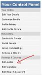 Click image for larger version

Name:	cp avatar.JPG
Views:	258
Size:	48.4 KB
ID:	63198