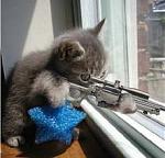 Click image for larger version

Name:	killercat.jpg
Views:	123
Size:	9.6 KB
ID:	63724