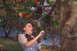 Click image for larger version

Name:	WizardApple1.PNG
Views:	171
Size:	365.5 KB
ID:	65507