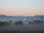 Click image for larger version

Name:	nebbia.jpg
Views:	186
Size:	13.4 KB
ID:	65933