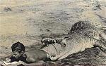 Click image for larger version

Name:	croco.jpg
Views:	319
Size:	47.1 KB
ID:	67958