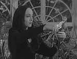 Click image for larger version

Name:	Addams Family Morticia.PNG
Views:	339
Size:	227.7 KB
ID:	67989