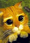 Click image for larger version

Name:	Shrek_2_Cat-eyes_L-01.jpg
Views:	945
Size:	28.8 KB
ID:	69018