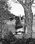 Click image for larger version

Name:	face_landscape.jpg
Views:	171
Size:	56.8 KB
ID:	69078