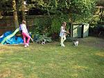Click image for larger version

Name:	cat-walk.jpg
Views:	337
Size:	242.3 KB
ID:	70082