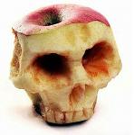 Click image for larger version

Name:	apple-skull.jpg
Views:	150
Size:	39.5 KB
ID:	70331