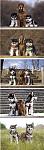 Click image for larger version

Name:	712042.jpg
Views:	346
Size:	102.4 KB
ID:	72085