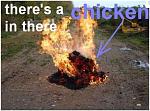 Click image for larger version

Name:	flammed.JPG
Views:	1698
Size:	70.0 KB
ID:	72322