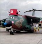 Click image for larger version

Name:	plane.JPG
Views:	957
Size:	27.7 KB
ID:	72373