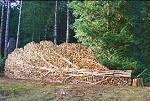 Click image for larger version

Name:	woodpile.jpg
Views:	132
Size:	129.8 KB
ID:	73906