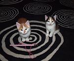 Click image for larger version

Name:	005.JPG
Views:	392
Size:	437.3 KB
ID:	74411