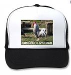 Click image for larger version

Name:	free hat.JPG
Views:	178
Size:	41.6 KB
ID:	74477