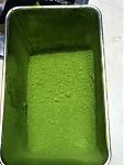 Click image for larger version

Name:	Matcha.jpg
Views:	216
Size:	88.6 KB
ID:	77633