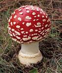 Click image for larger version

Name:	amanita.jpg
Views:	274
Size:	13.4 KB
ID:	79772