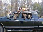 Click image for larger version

Name:	pic28664.jpg
Views:	447
Size:	194.6 KB
ID:	80152