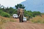 Click image for larger version

Name:	road_rage_1.jpg
Views:	184
Size:	63.2 KB
ID:	83534