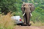 Click image for larger version

Name:	road_rage_2.jpg
Views:	182
Size:	92.1 KB
ID:	83535