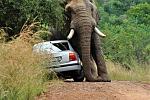 Click image for larger version

Name:	road_rage_3.jpg
Views:	190
Size:	80.9 KB
ID:	83536