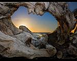 Click image for larger version

Name:	love-trees.jpg
Views:	228
Size:	96.5 KB
ID:	86724