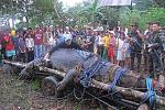 Click image for larger version

Name:	Crocodile - world's largest - Philippines.jpg
Views:	317
Size:	64.6 KB
ID:	88666