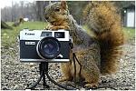 Click image for larger version

Name:	aaaaa.JPG
Views:	144
Size:	74.1 KB
ID:	90492