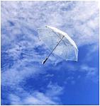 Click image for larger version

Name:	flying umbrella.JPG
Views:	190
Size:	33.8 KB
ID:	91062