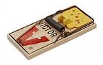 Click image for larger version

Name:	220px-Victor-Mousetrap.jpg
Views:	239
Size:	10.3 KB
ID:	91374