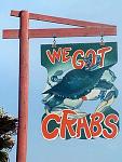 Click image for larger version

Name:	weird_signs_32.jpg
Views:	257
Size:	36.9 KB
ID:	92898