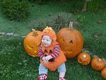 Click image for larger version

Name:	ImageUploadedByTapatalk HD1350823637.847497.jpg
Views:	283
Size:	115.4 KB
ID:	94570