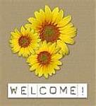 Click image for larger version

Name:	welcome daisies.jpg
Views:	238
Size:	4.2 KB
ID:	31139