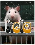 Click image for larger version

Name:	3 hola mouse.gif
Views:	273
Size:	132.1 KB
ID:	47654