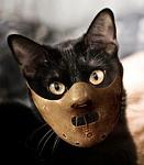 Click image for larger version

Name:	Hannibal-cat.jpg
Views:	134
Size:	46.6 KB
ID:	156189