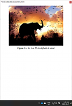 Click image for larger version

Name:	elephant.png
Views:	90
Size:	308.5 KB
ID:	193768
