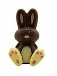 Click image for larger version

Name:	chocolate bunny.jpg
Views:	213
Size:	5.1 KB
ID:	26567