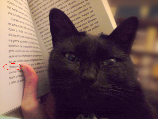 Name:  bookcat.bmp
Views: 272
Size:  625.1 KB