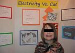 Click image for larger version

Name:	humor electricity vs cat.jpg
Views:	655
Size:	19.1 KB
ID:	83571