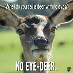 Click image for larger version

Name:	No eye deer.jpg
Views:	175
Size:	13.3 KB
ID:	158076