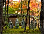 Click image for larger version

Name:	Arashiyama3.jpg
Views:	143
Size:	447.2 KB
ID:	96477