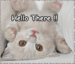 Click image for larger version

Name:	Hello%20there%20Kitty.gif
Views:	195
Size:	33.5 KB
ID:	53461