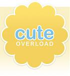 Click image for larger version

Name:	cute overload.jpg
Views:	281
Size:	27.7 KB
ID:	45057