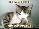 Click image for larger version

Name:	funny-pictures-cat-is-smart.jpg
Views:	324
Size:	33.6 KB
ID:	93960