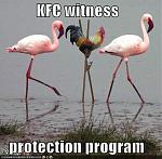 Click image for larger version

Name:	kfc-chicken-stilts-flamingos.jpg
Views:	383
Size:	40.2 KB
ID:	52675