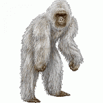 Click image for larger version

Name:	Yeti.gif
Views:	201
Size:	15.1 KB
ID:	32403