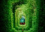 Click image for larger version

Name:	tunnel-of-love-ukraine-3.jpg
Views:	240
Size:	114.9 KB
ID:	105394